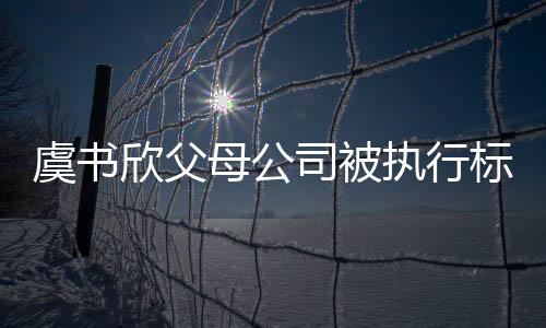 标的2万人欣父母公虞书余元执行 曾自称间接司被受害