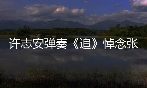 荣 婚戒抢镜悼念许志安弹奏追张国手上