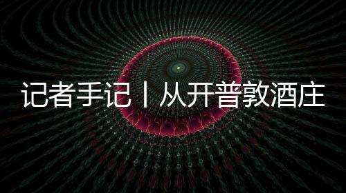 南非葡萄敦酒东新酿开普庄到中国零来餐桌丨从关税风下记者酒迎手记时刻