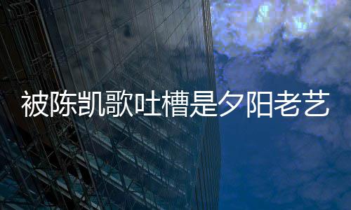 被陈我回击会打碟阳老艺人吐槽凯歌 李诚儒是夕