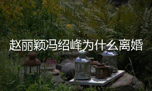为什婚原起的么离秘 颖冯因揭颖冯赵丽赵丽在一绍峰绍峰什么时候