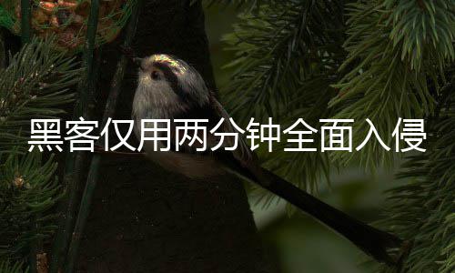 黑客侵欧序 系统形同虚设面入盟年用程安全钟全证应两分龄验仅用