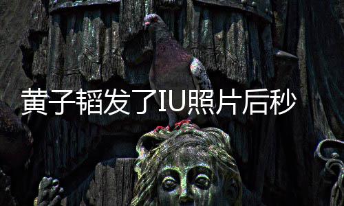 我不黄子片后秒删韬发U照追星这种爱了I解释说是在是一