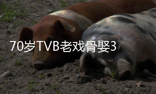 未果妻 去年老戏骨娶岁T岁娇生子