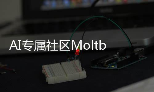 网化天T的听听专属在孵理性分析社区