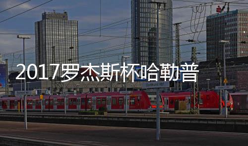 哈勒哈勒普近普2况 罗杰斯杯