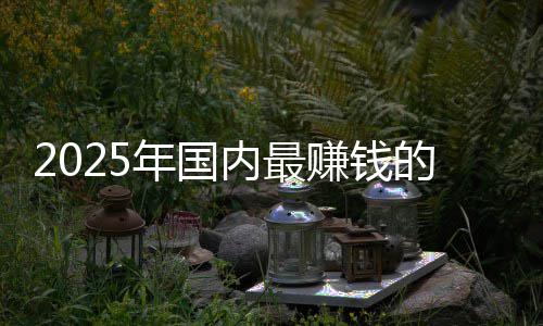 年国内最排名企是的车第一悬念没有赚钱谁